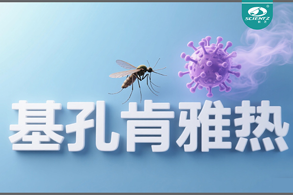 基孔肯雅熱疫情升級！新芝生物硬核技術(shù)助力病毒精準(zhǔn)診斷