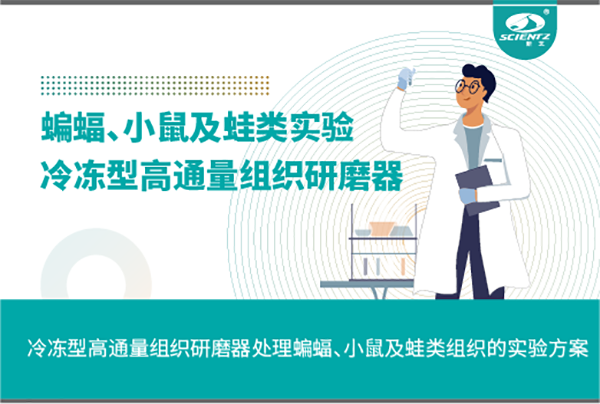 冷凍型高通量組織研磨器處理蝙蝠、小鼠及蛙類組織的實驗方案