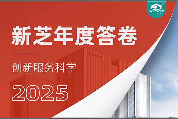 「新芝2025年度答卷」以深耕赴山海，以創(chuàng)新啟新程！