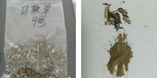 馬鞭草官網(wǎng)案例對比圖